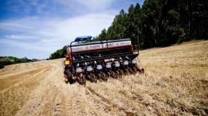 Високим врожаям Аргентина завдячує технології no-till — агроном