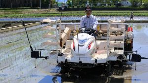 В Японії роботів навчили засівати рисові поля