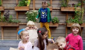 У київських дитсадках створять міні-ферми, щоб навчати дітей рослинництву