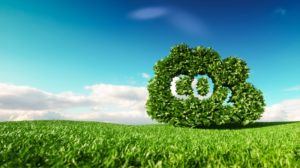 Доведено що рослини поступово втрачають здатність поглинати вуглекислий газ