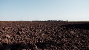 ФАО допоможе українським аграріям зупинити деградацію земель