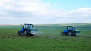 На Донеччині підживлено чверть посівів озимих зернових та третина площі під ріпаком