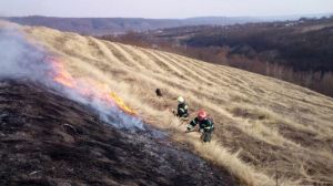 Буковинські рятувальники борються з масовими пожежами на полях