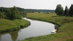 В Україні зменшується водність малих та середніх річок, — науковці
