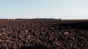 На Чернігівщині проводитимуть планове агрохімічне обстеження ґрунтів