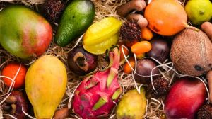 В Європі активно зростає попит на екзотичні тропічні фрукти