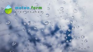 Дощитиме практично в усіх областях України — АгроПогода на 17 квітня