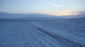 Похолодання та сніг призупинили посівну на Вінниччині та Хмельниччині
