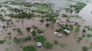 Циклон знищив 168 тис. га сільськогосподарських культур у Мозамбіку