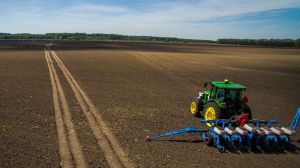 На Вінниччині ранніми зерновими залишилось засіяти менше 15% прогнозованих площ