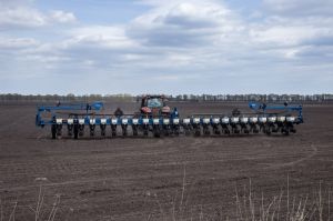 Темпи сівби кукурудзи, олійних та зернобобових культур в Україні відстають від минулорічних