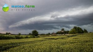 Захід та Північ накриють дощі з грозами — АгроПогода на 14 травня