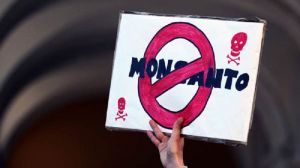  З вини Monsanto кожна друга дитина до 2025 року буде аутистом — думка