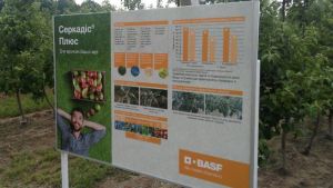 BASF презентувала інноваційний фунгіцид проти хвороб в саду