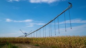 Херсонське господарство розвиває на півдні України точне землеробство