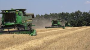 У Запорізькій області намолотили перший мільйон тонн зерна