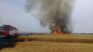 50 гектарів пшениці згоріло на Донеччині