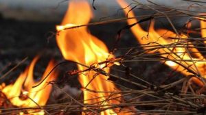 На Дніпропетровщині вогнем знищено 125 тонн соломи