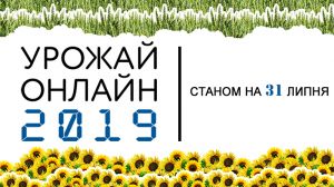Середня врожайність пшениці в Україні перевищує 4 т/га — Урожай Онлайн 2019