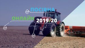 Темпи сівби ріпаку в Україні випереджають минулорічні — Посівна Онлайн 2019/20