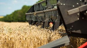 Аграрії Вінниччини перевершили минулорічний показник валового збору зерна
