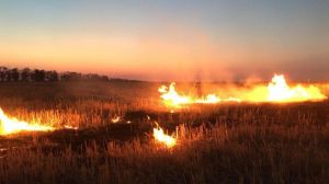 Спалювання стерні є причиною катастрофічних наслідків дня ґрунтів