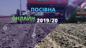 За площами, засіяними ріпаком лідирує Дніпропетровщина — Посівна Онлайн 2019/20