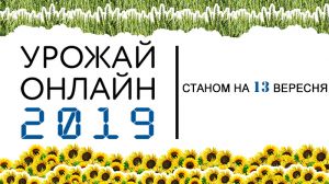 Названо регіони з найвищою врожайністю соняшнику в Україні — Урожай Онлайн 2019