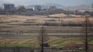 Північна Корея ризикує постраждати через рекордний неврожай — ФАО