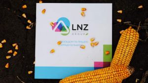 LNZ Hub підбиває перші підсумки роботи у цьому сезоні