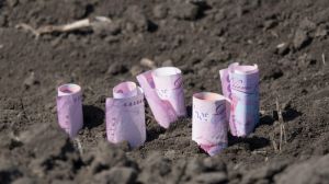 В Україні зріс розмір річної орендної плати за сільгоспземлі