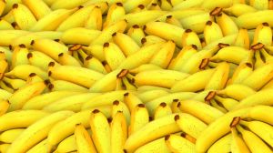 Нова хвороба загрожує врожаям бананів в світі