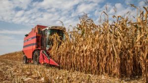 З полів Вінниччини зібрано понад 3 млн тонн зерна нового урожаю