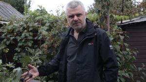 Черкаський садівник вирощує 50 видів екзотичних рослин