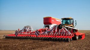 ​У 2020 році посівні площі під пшеницею в Україні можуть скоротитися — прогноз​
