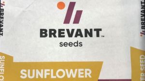 Дистриб'ютори відмовляються продавати насіння Brevant 