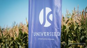 LNZ Group презентувала чотири нові гібриди кукурудзи UNIVERSEED
