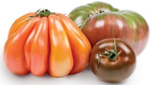 У США презентували нові сорти різнокольорових томатів