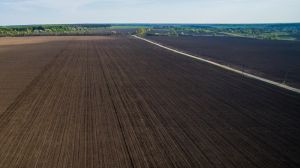 4,3 млн га земель в Україні не зареєстровано в Держгеокадастрі