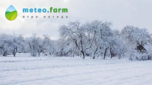 В Україні очікується похолодання та сніг — тижневий прогноз погоди