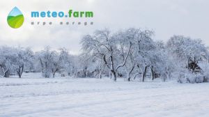 В Україні очікується нетривалий сніг та плюсові температури — тижневий прогноз погоди