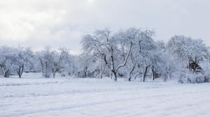 Навесні Україну може завалити снігом — прогноз синоптика
