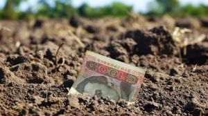 За розорення пам'ятки археології фермер сплатив 300 тисяч гривень штрафу