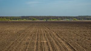 До 12 млн гектарів земель в Україні перебуває в тіні — уповноважений президента