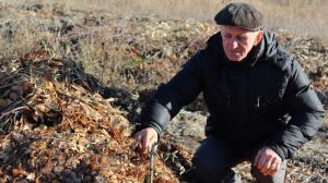 Луганський фермер вирощує овочі та екзотичні культури за органічною технологією