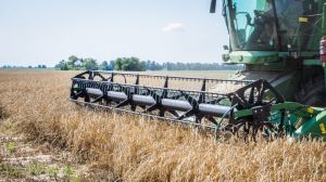 На 2020 рік Україні прогнозують спад обсягів сільгоспвиробництва