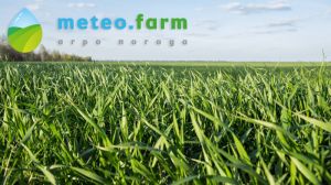 Березневі температури перевищили багаторічні кліматичні норми — Метео Фарм