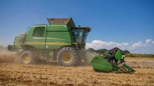 Урожай зернових скоротиться на 10% — прогноз