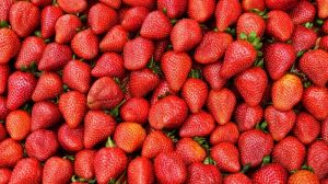 Вчені визначили фактори, які відповідають за колір і смак полуниці