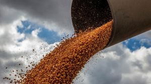 В ЄС почали діяти мита на імпорт зернових